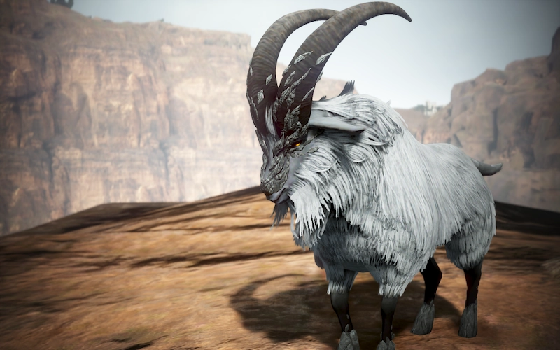 黒い砂漠の狩猟モンスター崖ヤギの写真