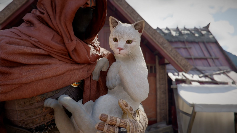 紅の砂漠で猫を撫でて信頼度を上げている様子
