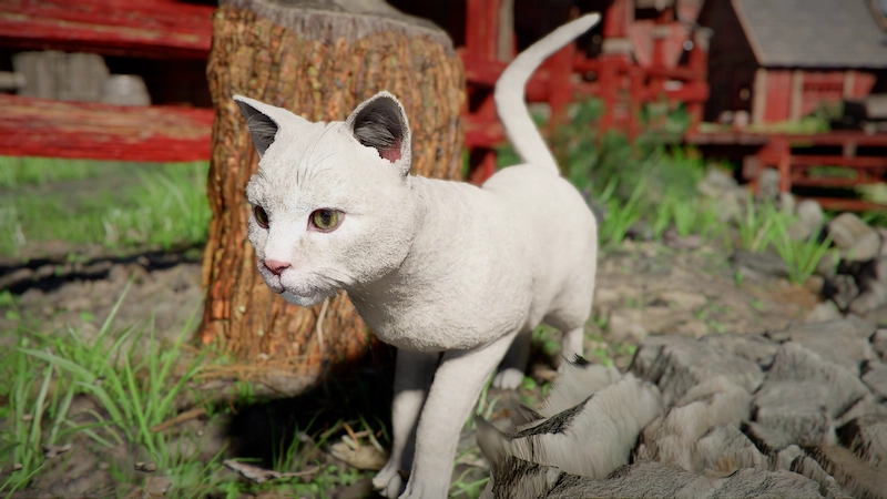 紅の砂漠でペットにできる猫の見た目