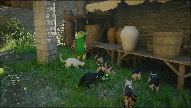 紅の砂漠のゲーム内に登場する複数の野良猫たち