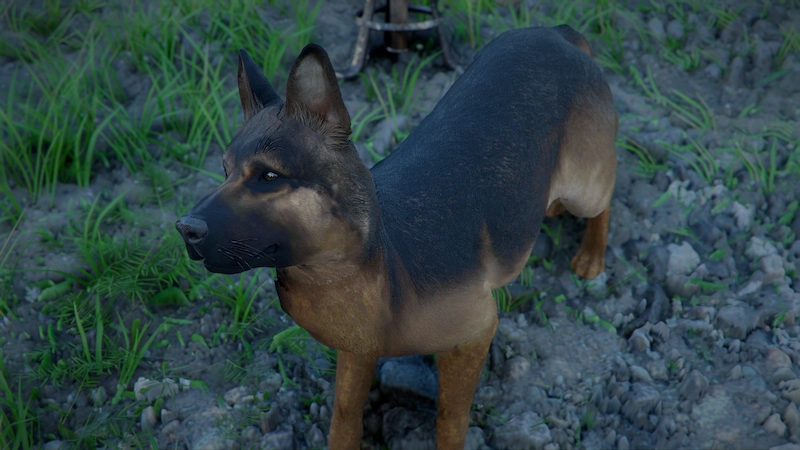 紅の砂漠でペットにできる犬の見た目