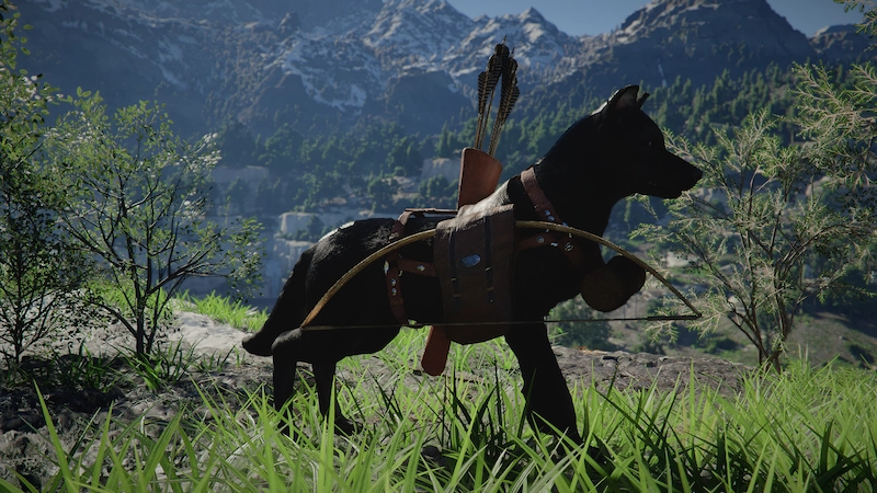 紅の砂漠のペットに装備品を着せてカスタマイズしている様子