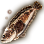 カノヒキガエル魚