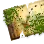コケに覆われた地図